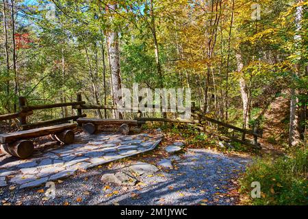 Panca e ringhiera nella foresta di caduta lungo la passerella giù colline Foto Stock