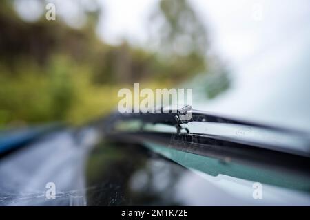 primo piano tergicristallo su un'auto in australia Foto Stock