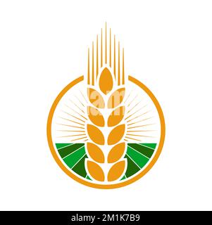 Cereale orecchio e punta icona di grano, segale o orzo piante di raccolto, vettore cereale cibo. Agricoltura o campo di fattoria con spikelet d'oro di grano, segale o orzo, grano dorato maturo e semi in cornice rotonda Illustrazione Vettoriale