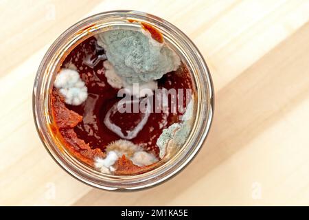 Vista dall'alto di una lattina con vecchio impasto di pomodoro ammuffito. cibo con funghi di muffa Foto Stock