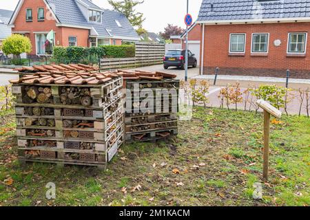 Insecthotel in De Wilp comune Westerkwartier provincia di Groningen nei Paesi Bassi Foto Stock