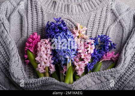 Un bouquet di giacinti è avvolto in un maglione di lana grigio a maglia grossa. Composizione della molla, piatto. Vacanze primaverili e concetto di giornata della donna Foto Stock