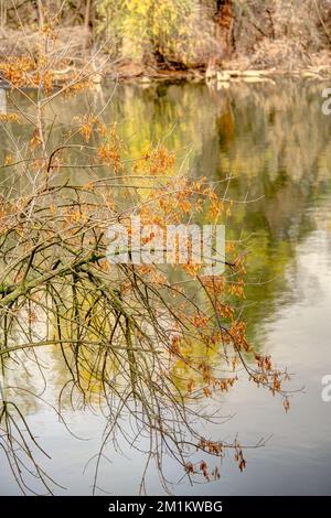 Martely, pittoresco villaggio sul Tisza, Ungheria Foto Stock