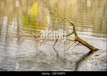 Martely, pittoresco villaggio sul Tisza, Ungheria Foto Stock