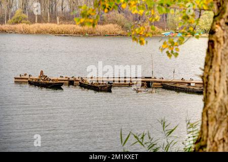 Martely, pittoresco villaggio sul Tisza, Ungheria Foto Stock