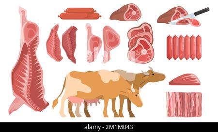 Cartoon fresco crudo carne di manzo set vettore Illustrazione Vettoriale