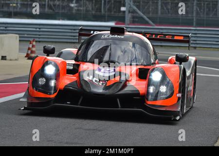 Andy Willis, Stephan Jobstl, Ligier JS P3, Masters Endurance Legends, due gare nel weekend sul circuito del Gran Premio, con contempor Foto Stock