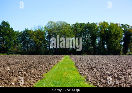 Terreni coltivati in pianura padana Foto Stock