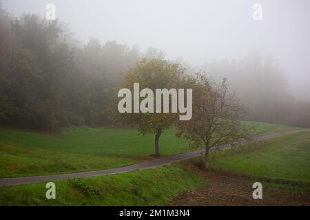 Paesaggio autunnale dell'Appennino tosco-emiliano con nebbia Foto Stock