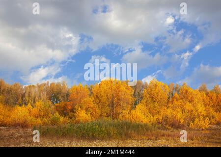 Paesaggio dell'Appennino Tosco-Emiliano Foto Stock