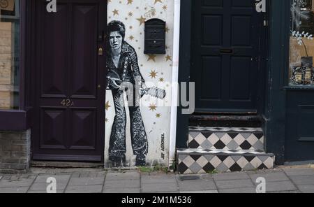 Un uomo passa davanti a un murale di David Bowie dipinto dall'artista JEF AEROSOL nella zona del Nord Laine di Brighton. Foto Stock