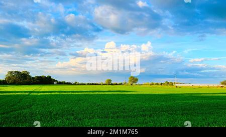 Terreni coltivati in pianura padana Foto Stock