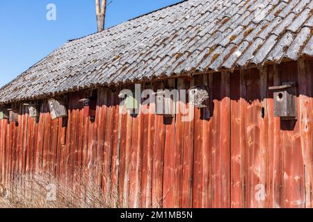 Fila di birdhouses su un fienile Foto Stock