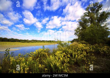 Paesaggio del Parco Regionale del fiume Taro, Parma Italia Foto Stock