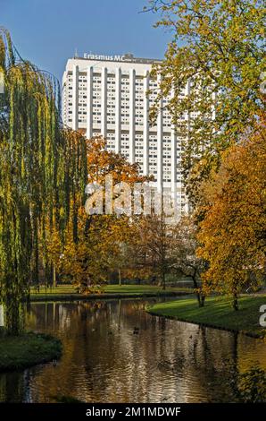 Rotterdam, Paesi Bassi, 29 novembre 2022: Vista dal Parco nei colori autunnali verso le torri bianche dell'ospizio Erasmus MC Foto Stock