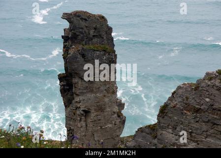 Ardesia Rock Pinnacle 'Stack' dalla vecchia cava di Lanterdan vicino a Tintagel sul South West Coastal Path, Cornovaglia, Inghilterra, Regno Unito. Foto Stock