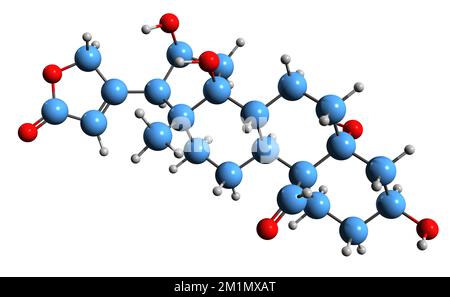 3D immagine di Strofadogenina formula scheletrica - struttura chimica molecolare del cardenolide isolato su sfondo bianco Foto Stock