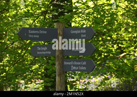 Segnaletica in legno nei boschi presso i Lost Gardens di Heligan, St.Austell, Cornovaglia, Inghilterra, Regno Unito. Foto Stock