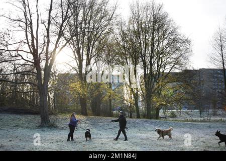 Amsterdam, Paesi Bassi. 13th Dec, 2022. Gli abitanti del luogo amano con i loro cani al Ice Crystal Covered Rembrandt Park con -2 gradi Celsius il 13 dicembre 2022 ad Amsterdam, Paesi Bassi. (Foto di Paulo Amorim/Sipa USA) Credit: Sipa USA/Alamy Live News Foto Stock