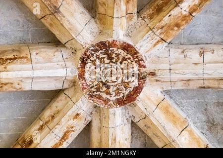 Refettorio del Monastero di Santa Maria di Carracedo, El Bierzo, Spagna Foto Stock