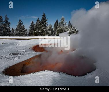 Red Spouter fumarole, Yellowstone, USA Foto Stock