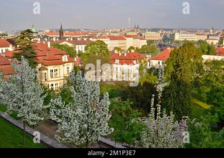 Grande giardino Fürstenberg, giardino terrazzato in primavera situato a Malá Strana, Repubblica Ceca. Foto Stock