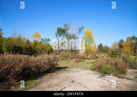 Paesaggio della campagna emiliana Foto Stock