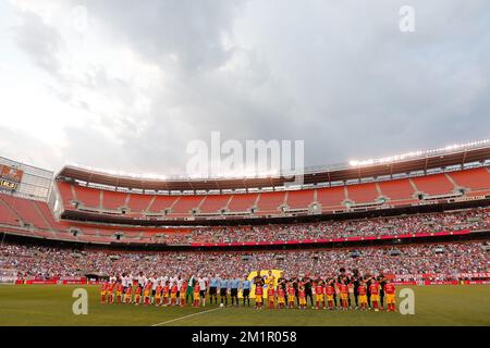 L'immagine mostra un amichevole gioco della nazionale belga contro gli Stati Uniti nel FirstEnergyStadium di Cleveland, Stati Uniti, mercoledì 29 maggio 2013. I Red Devils si preparano per il loro gioco di qualificazione per la Coppa del mondo FIFA 2014 contro la Serbia il 7 giugno. Foto Stock