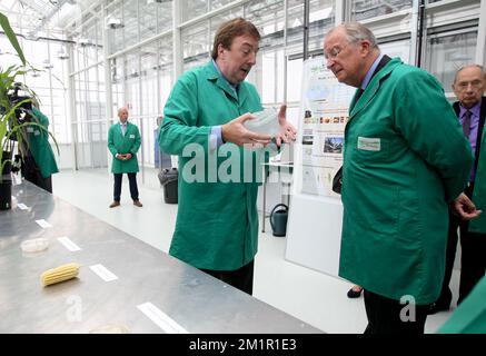 VIB Direttore del Dipartimento del sistema biologico delle piante Dirk Inze e Re Alberto II del Belgio, raffigurati nel corso di una visita al Vlaams Instituut voor Biotechnologie (VIB) (Istituto fiammingo per la Bio-tecnologia) di Zwijnaarde, nel parco tecnologico, mercoledì 12 giugno 2013. Foto Stock