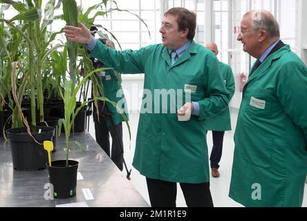 VIB Direttore del Dipartimento del sistema biologico delle piante Dirk Inze e Re Alberto II del Belgio, raffigurati nel corso di una visita al Vlaams Instituut voor Biotechnologie (VIB) (Istituto fiammingo per la Bio-tecnologia) di Zwijnaarde, nel parco tecnologico, mercoledì 12 giugno 2013. Foto Stock