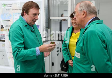 VIB Direttore del Dipartimento del sistema biologico delle piante Dirk Inze e Re Alberto II del Belgio, raffigurati nel corso di una visita al Vlaams Instituut voor Biotechnologie (VIB) (Istituto fiammingo per la Bio-tecnologia) di Zwijnaarde, nel parco tecnologico, mercoledì 12 giugno 2013. Foto Stock