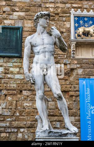 Il David di Michelangelo (replica) si trova all'ingresso di Palazzo Vecchio in Piazza della Signoria a Firenze, Toscana, Italia Foto Stock