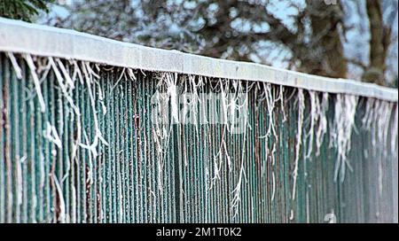 Glasgow, Scozia, Regno Unito 13th dicembre 2022. Condizioni meteorologiche del Regno Unito: Le temperature di congelamento hanno visto una nebbia gelida con visibilità fino a 100 metri e Hoar Frost, anche Hoarfrost, Radiation Frost, o pruina, si riferisce a cristalli di ghiaccio bianco depositati a terra o fissati in modo lasco a oggetti esposti, come fili o foglie nel nord della città. Credit Gerard Ferry/Alamy Live News Foto Stock