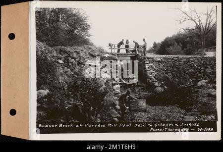 Beaver Brook at Pepper's Mill stagno diga, Ware, Mass., 8:40:00 AM, maggio 19, 1936 , opere d'acqua, immobiliare, ruscelli, condizioni sanitarie spartiacque, inondazioni eventi naturali, dighe strutture idrauliche Foto Stock