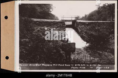 Beaver Brook at Pepper's Mill stagno diga, Ware, Mass., 8:40:00 AM, 22 giugno, 1936 , opere d'acqua, immobiliare, ruscelli, condizioni sanitarie spartiacque, inondazioni eventi naturali, dighe strutture idrauliche Foto Stock