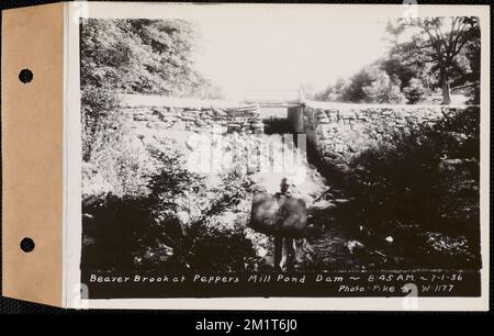 Beaver Brook at Pepper's Mill stagno diga, Ware, Mass., 8:45:00 AM, 1 luglio, 1936 , opere d'acqua, immobiliare, ruscelli, condizioni sanitarie spartiacque, inondazioni eventi naturali, dighe strutture idrauliche Foto Stock