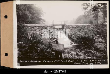 Beaver Brook at Pepper's Mill stagno diga, Ware, Mass., 8:45:00 AM, 27 giugno, 1936 , opere d'acqua, immobiliare, ruscelli, condizioni sanitarie spartiacque, inondazioni eventi naturali, dighe strutture idrauliche Foto Stock