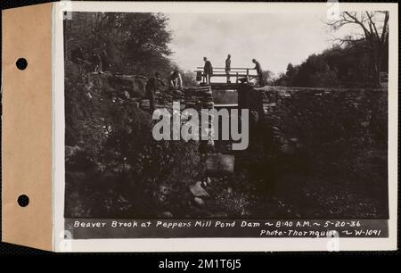 Beaver Brook at Pepper's Mill stagno diga, Ware, Mass., 8:40:00 AM, maggio 20, 1936 , opere d'acqua, immobiliare, ruscelli, condizioni sanitarie spartiacque, inondazioni eventi naturali, dighe strutture idrauliche Foto Stock