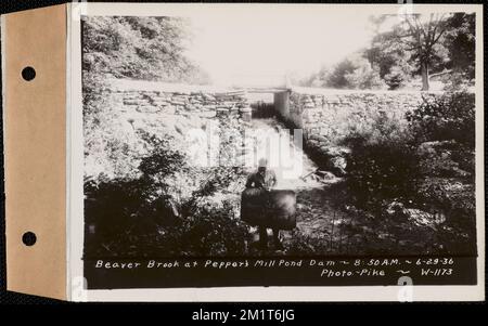 Beaver Brook at Pepper's Mill stagno diga, Ware, Mass., 8:50:00 AM, 29 giugno, 1936 , opere d'acqua, immobiliare, ruscelli, condizioni sanitarie spartiacque, inondazioni eventi naturali, dighe strutture idrauliche Foto Stock