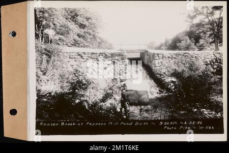 Beaver Brook at Pepper's Mill stagno diga, Ware, Mass., 9:00:00 AM, 25 giugno, 1936 , opere d'acqua, immobiliare, ruscelli, condizioni sanitarie spartiacque, inondazioni eventi naturali, dighe strutture idrauliche Foto Stock