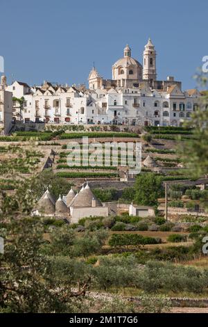 Locorotondo città in cima alla collina con trulli case e oliveto in basso nella Valle d'Itria, Locorotondo, Puglia, Italia, Europa Foto Stock