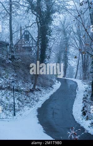 Strada attraverso la foresta innevata, Harz Mountains, Germania Foto Stock