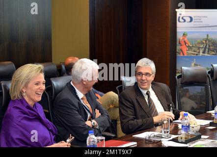 20131129 - CHENNAI, INDIA: Principessa Astrid del Belgio raffigurata durante la presentazione da PARTE DI DEME dei suoi progetti in India a Chennai, India, venerdì 29 novembre 2013, il sesto giorno di una missione economica della principessa belga Astrid in India. FOTO DI BELGA ERIC LALMAND Foto Stock