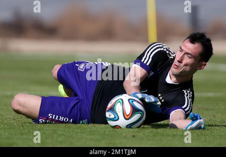 20140110 - ABU DHABI, EMIRATI ARABI UNITI: Silvio Proto, portiere di Anderlecht, ha illustrato durante una sessione di allenamento del quinto giorno del campo invernale della squadra belga di calcio di prima divisione RSCA Anderlecht ad Abu Dhabi, Emirati Arabi Uniti (Emirati Arabi Uniti), venerdì 10 gennaio 2014. BELGA PHOTO VIRGINIE LEFOUR Foto Stock