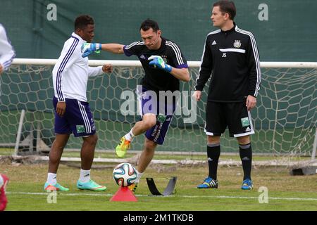 20140111 - ABU DHABI, EMIRATI ARABI UNITI: Silvio Proto, portiere di Anderlecht, ha illustrato durante una sessione di allenamento del sesto giorno del campo invernale della squadra belga di calcio di prima divisione RSCA Anderlecht ad Abu Dhabi, Emirati Arabi Uniti (Emirati Arabi Uniti), sabato 11 gennaio 2014. BELGA PHOTO VIRGINIE LEFOUR Foto Stock