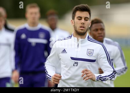 20140111 - ABU DHABI, EMIRATI ARABI UNITI: Vico Federico di Anderlecht raffigurato durante una sessione di allenamento del sesto giorno del campo invernale della squadra belga di calcio di prima divisione RSCA Anderlecht ad Abu Dhabi, Emirati Arabi Uniti (Emirati Arabi Uniti), sabato 11 gennaio 2014. BELGA PHOTO VIRGINIE LEFOUR Foto Stock
