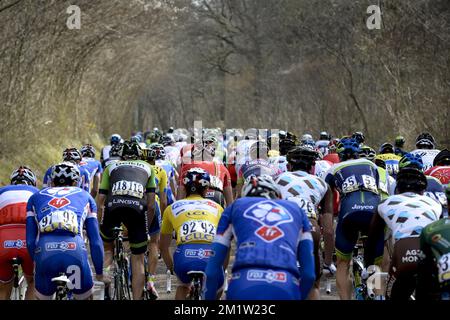 20140311 - MAGNY-COURS, FRANCIA: L'illustrazione mostra il pacco di ciclisti durante la terza tappa della 72nd edizione della gara ciclistica Parigi-Nizza, 180km da Toucy al circuito de Nevers Magny-Cours, martedì 11 marzo 2014. Foto Stock