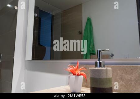 Piccola pianta succulenta vicino ad un recipent del sapone della mano ed un tovagliolo verde rifflected in un specchio moderno del bagno Foto Stock
