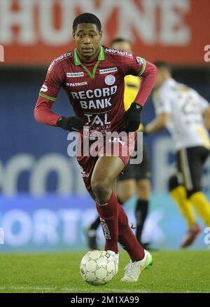 20141214 - BRUXELLES, BELGIO: Essevee's Chuks Aneke combatte per la palla durante la partita della Jupiler Pro League tra Zulte Waregem e Sporting Lokeren, a Waregem, domenica 14 dicembre 2014, l'undicesima giornata del campionato di calcio belga. FOTO DI BELGA JOHN THYS Foto Stock