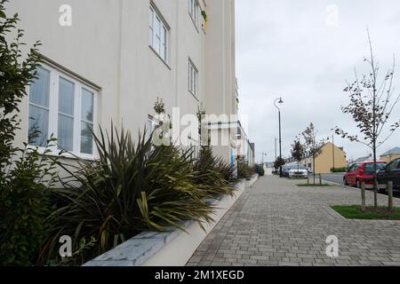 Le piante di Cordyline crescono lungo il lato degli appartamenti a Nansledan, uno sviluppo del Ducato di Cornovaglia, Newquay, Cornovaglia, Inghilterra sud-occidentale, Regno Unito Foto Stock